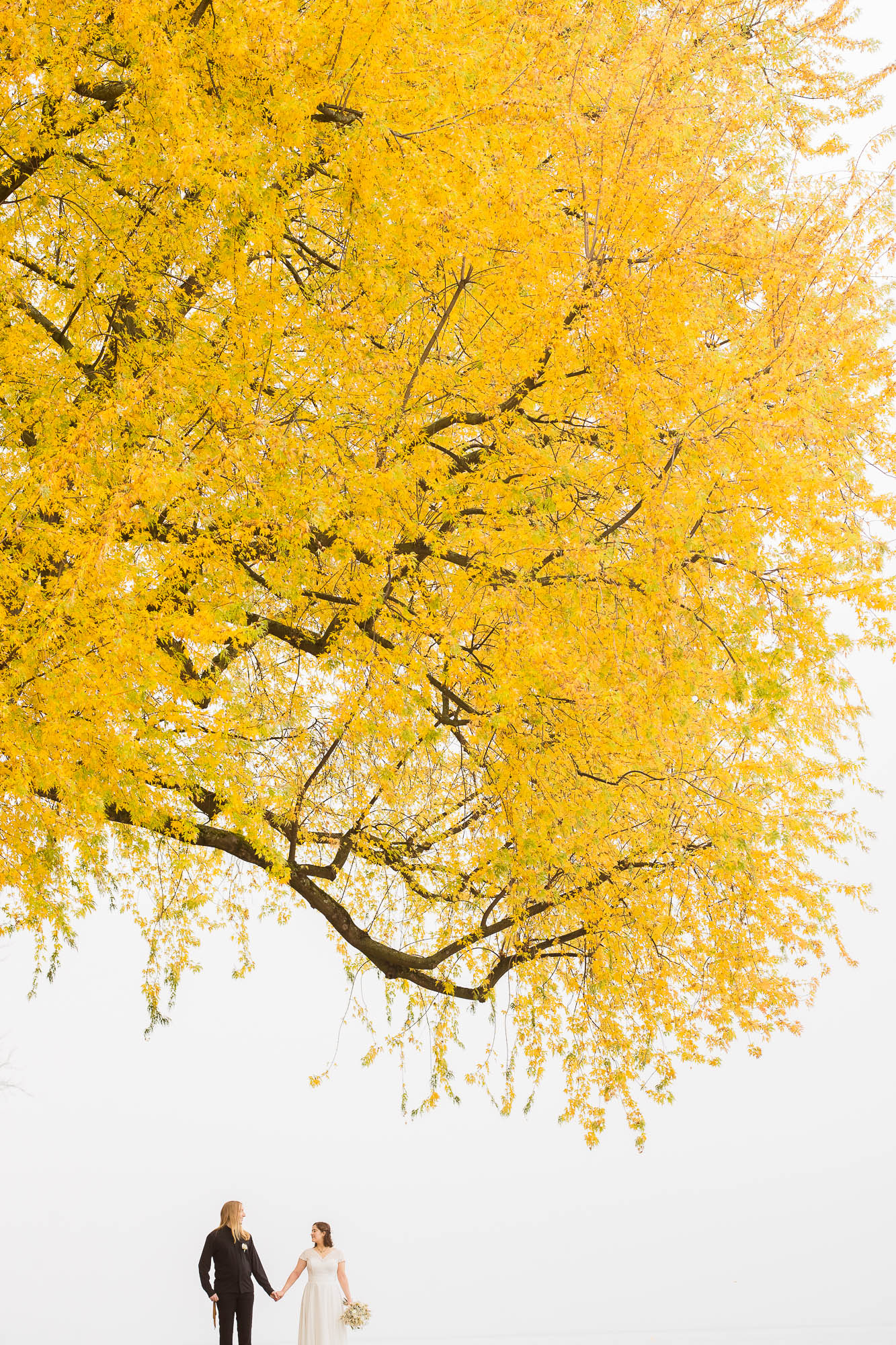 Export x3 1DX29356 Hochzeit 2020 Monika & Sharru 3